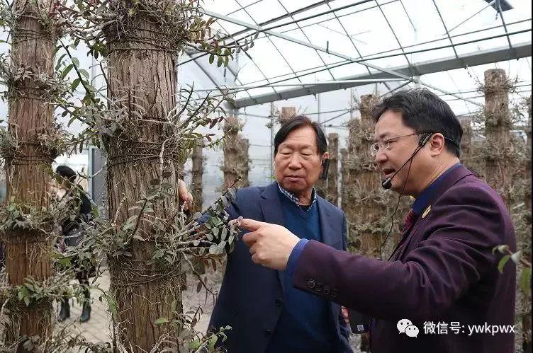 成都森宇集团最新情况详解与指南