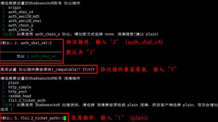 最新SSR节点二维码，开启自然美景探索之旅